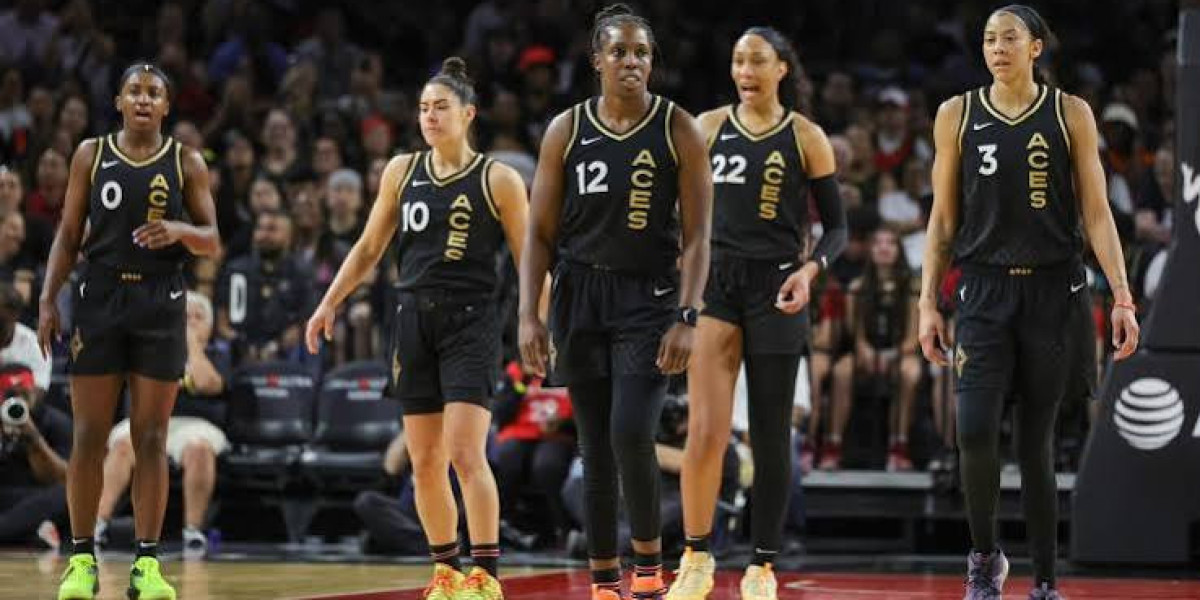 Las Vegas Aces veteran sets formidable reason for getting WNBA vocation